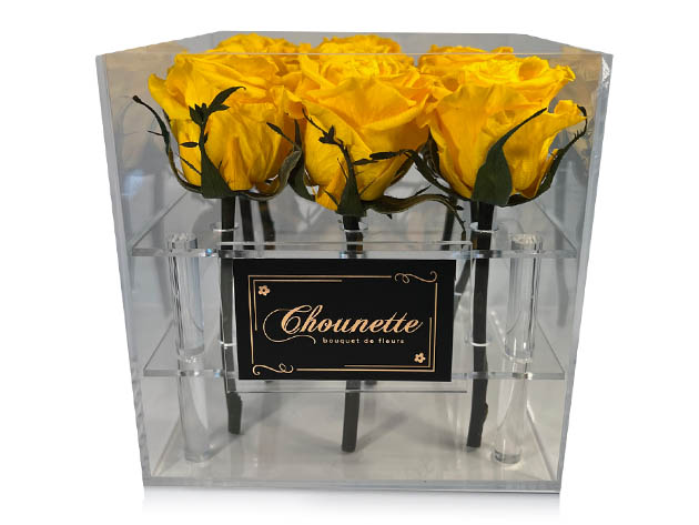 Chounette La Trésor: 9 Preserved Roses in Clear Acrylic Box (Yellow)
