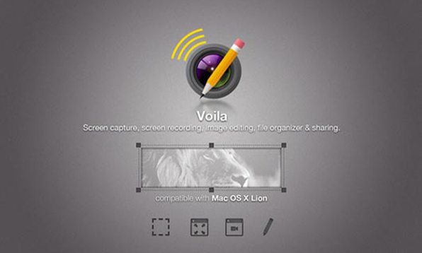 Voila - Smith - Product Image