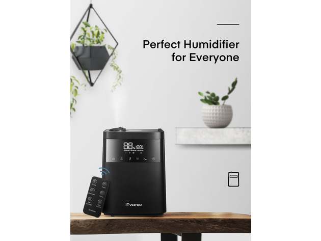 Humidifier with LED Touch Display, 5.5L Top Fill, Warm and Cool Mist Humidifiers for Bedroom, Customized Humidity, Sleep Mode, 12H Timer, for Living Room, Office and Baby Room