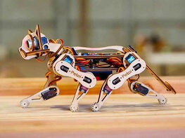 Petoi Nybble V2: World's Cutest Open-Source Bionic Robotic Cat