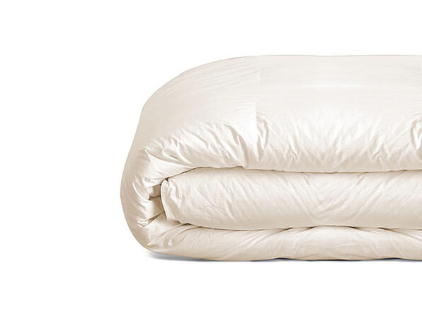 Ienjoy Home Down Alternative Comforter Ivory Steve Harvey Shop