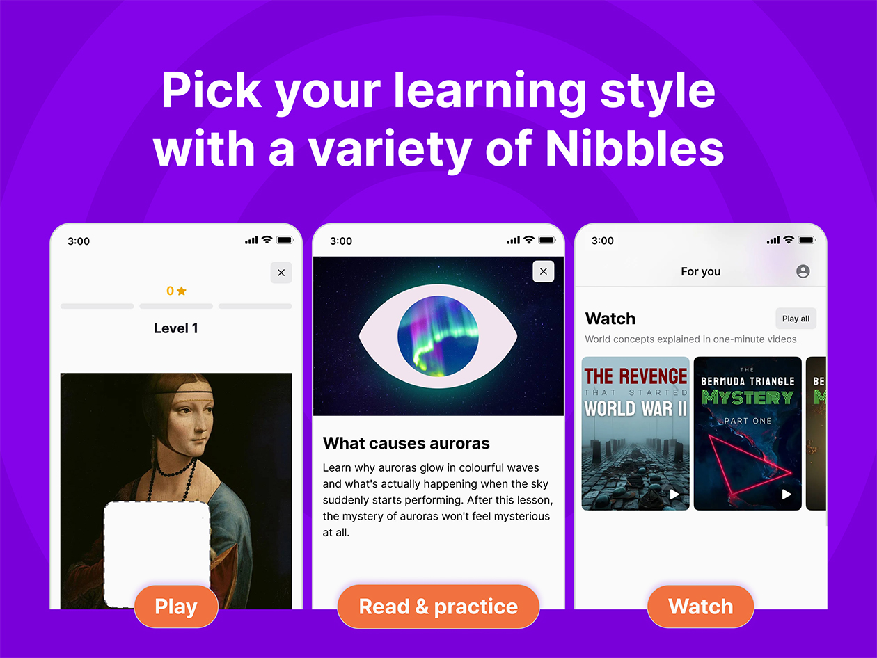 Nibble All-Around Knowledge App