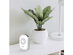 Alfred WB1 Connect - WiFi Bridge