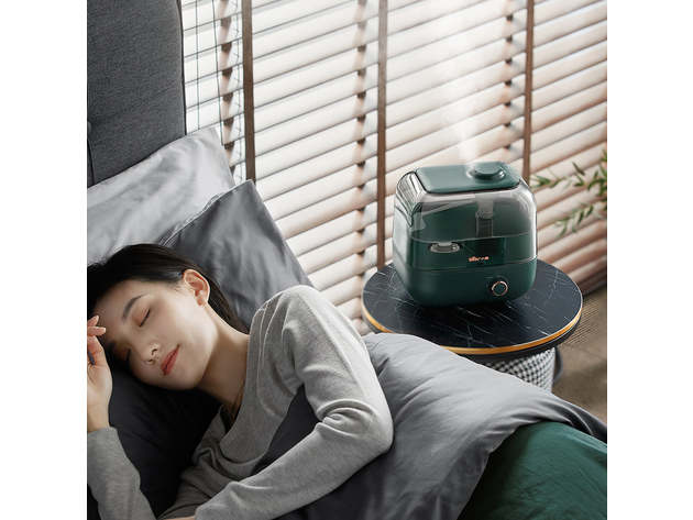 Bear Humidifier JSQ-F50D2 5L