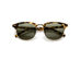 Nomad Sunglasses Tortoise Gold / Green