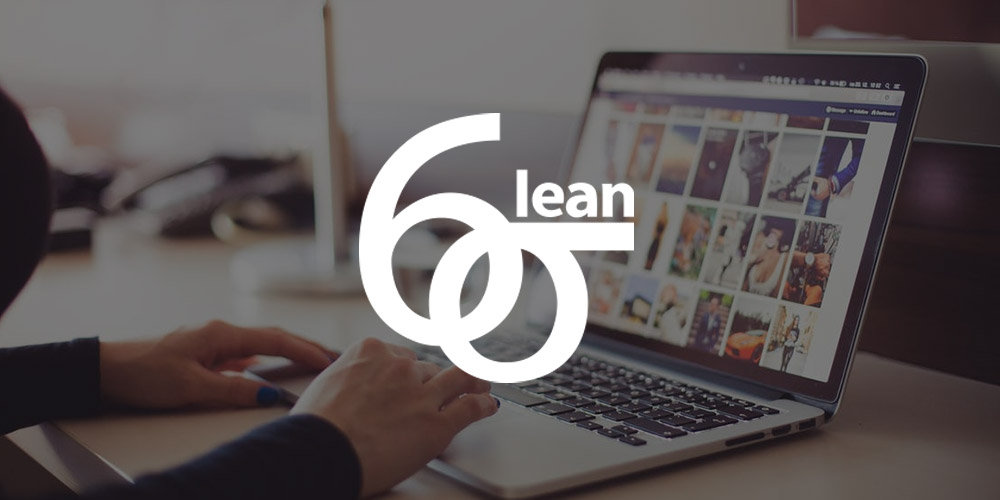 Lean Six Sigma Introduction Specialist