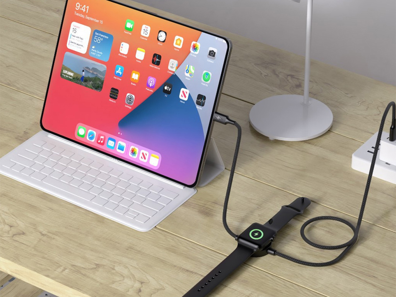 2-in-1 USB-C 65W Charging Cable with Built-in Apple Watch Charger (2-Pack)