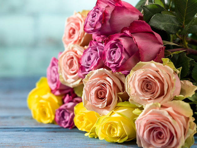 Get 2 Dozen Farmer's Color Choice Long-Stem Roses for Only $19.99! (Shipping Not Included)