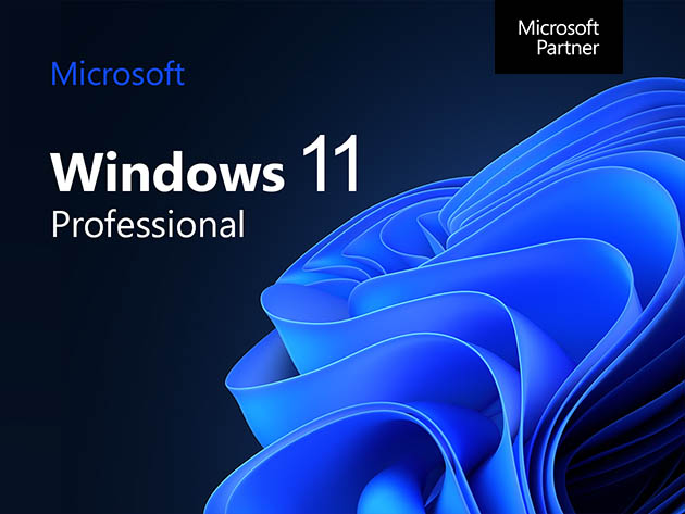 Microsoft Windows 11 Pro