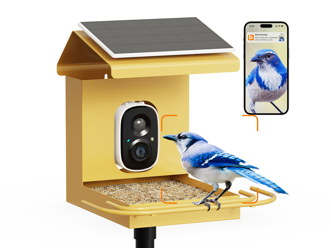 BirdHi Mag Metal Solar Powered Smart Bird Feeder with Camera