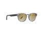 Tinted Crystal/Gold Gradient Polarized