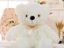 LED Teddy Bear (White)