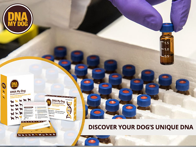 DNA My Dog NextGen - Canine Breed Identification PLUS Genetic Age Test