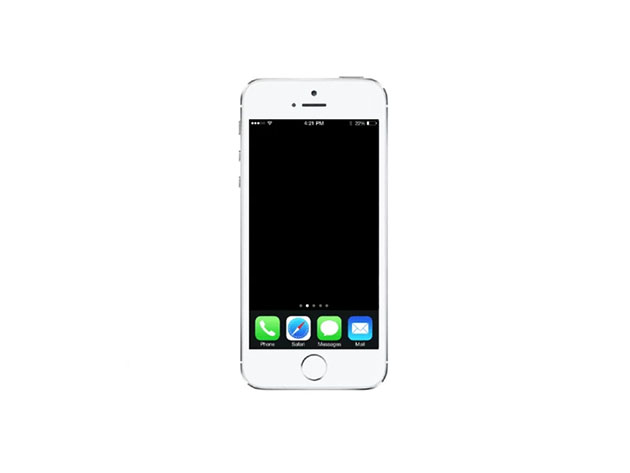 Apple iPhone 5s 16GB - White (Certified Refurbished: Wi-Fi + Unlocked)