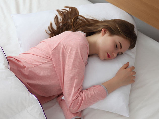 Cheer Collection Hypoallergenic Down Alternative Pregnancy V Pillow
