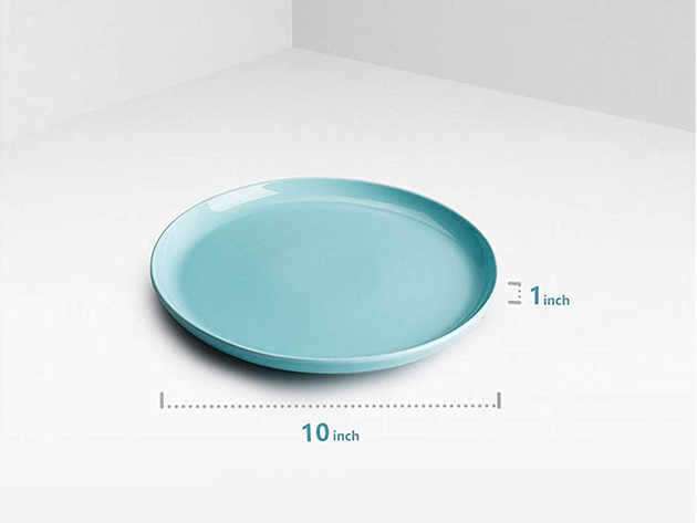 Sweese 10" Multicolor Porcelain Dinner Plates (Set of 6)