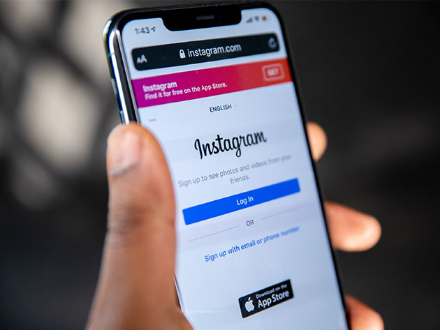 Instagram Marketing for Newbies & Small Business