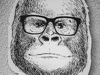 Drawing Animal Portraits For Beginners - Product Image