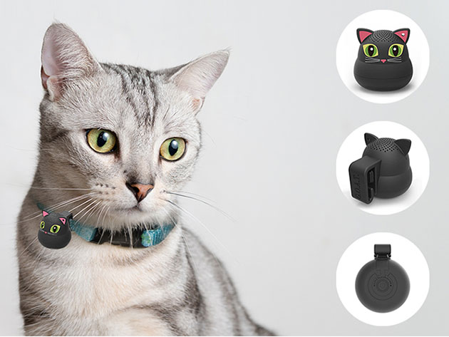 G.o.a.t Pet Speaker Bluetooth Connect /"blackie The Cat/"