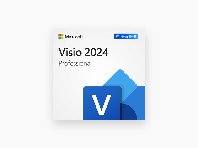 Microsoft Visio Professional 2024: Lifetime License for Windows