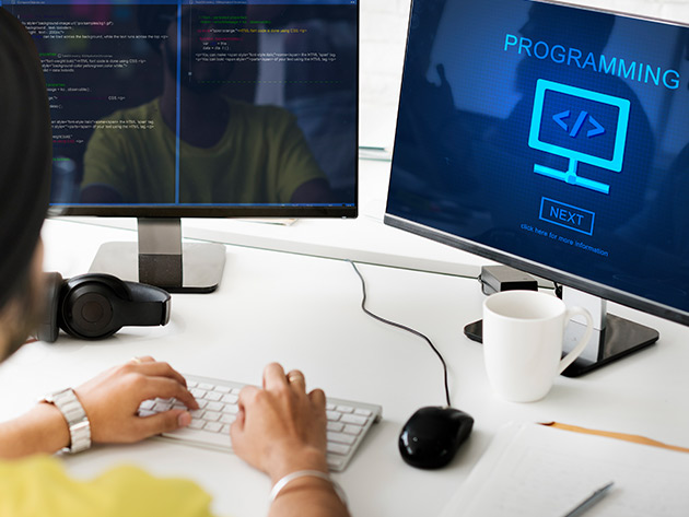 FREE: Learn the Basics of Python Programming 4-Week Course