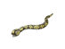 Odyssey ODY599 RC Angry Anaconda and Meddling Mouse Combo Pack