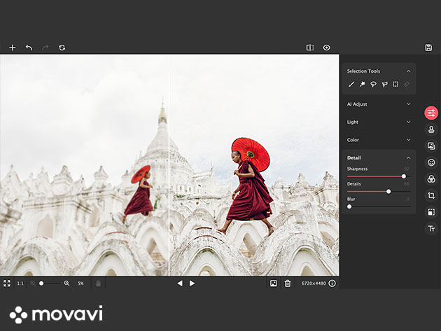 Movavi Picverse Photo Editor for Mac & Windows: Personal Lifetime License