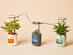  PICO Smart Indoor Herb Planter