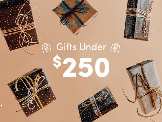 Gifts under $250