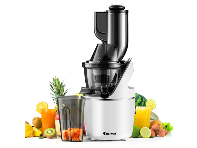 Costway Juicer Machines Slow Masticating Juicer Cold Press Extractor w/ 3'' Chute - Black, Silver