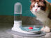 KittySpring Water Fountain for Cats