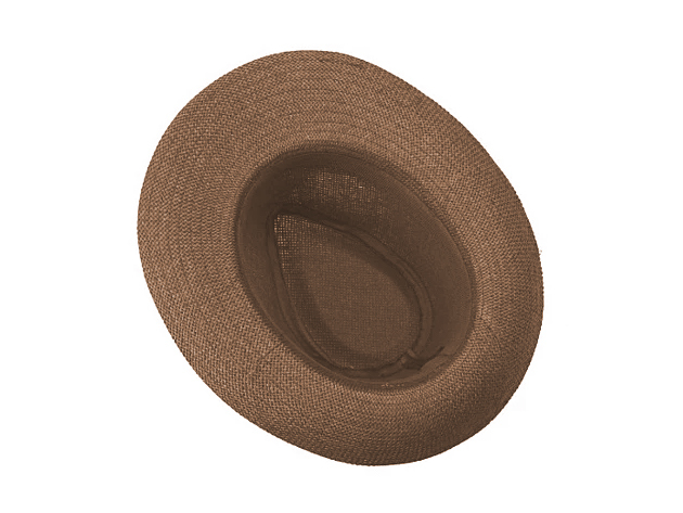 Panama Hat (Brown)