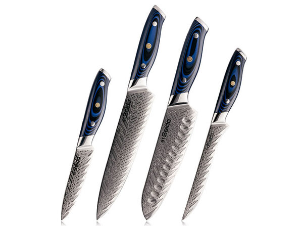 Seido Knives 4-Piece Kanpeki VG10 Japanese Damascus Steel Knife Set  Professional Chef Knife Set Blue Handle Chef Knife, Santoku Knife, Boning  Knife