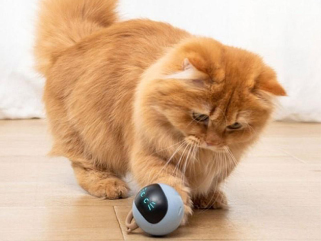 Smart & Interactive Self-Rotating Ball Cat Teaser