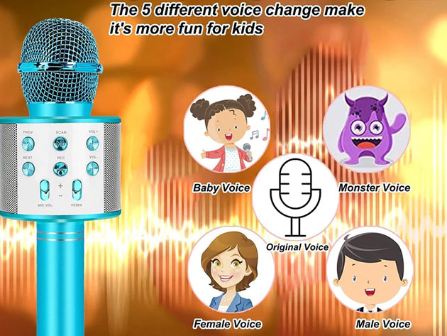 Niskite Handheld Karaoke Microphone for Kids