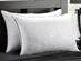 MicronOne Allergen-Free Gel Fiber All-Sleeper Pillows: 2-Pack