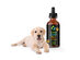 Curapure CBD Oil Tincture Drops For Dogs