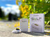 ReSPR SeLF: Wearable Air Purifier with Ionizing Technology