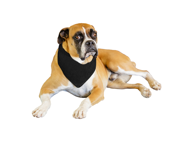 Jordefano Solid Polyester Dog Neckerchief Triangle Bibs - Extra Large - Black