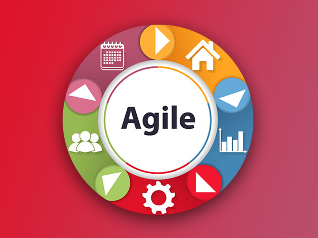 Agile Project Management Training