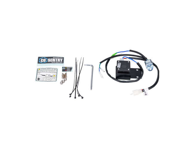 Explorer Bear 4000 Watts Dual Fuel Inverter Generator by Pulsar