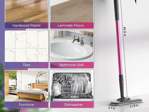 Schenley Hestia Steam Mop