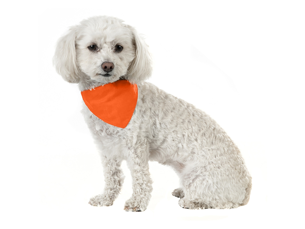 Jordefano Solid Cotton 5 Pack Dog Bandana Triangle Bibs  - Small and Medium Pets - Orange