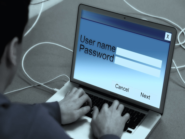 Free: Steganos Password Manager 18