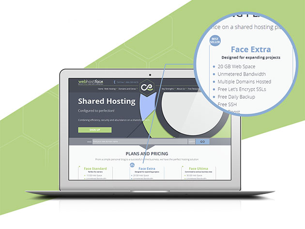 Face Extra Web Hosting: 5-Yr Plan