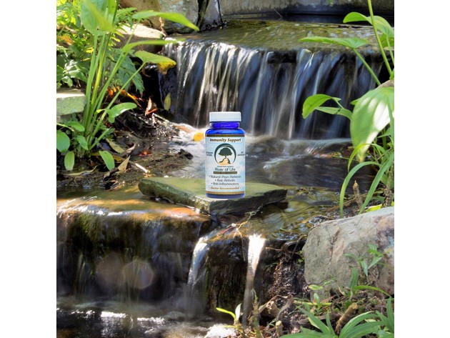 River of Life Immunity Support - 1050 mg with Ashwagandha, Natural Pain Reliever, Anti-Arthritic and Anti-Inflammatory, 60 Capsules Dietary Supplement