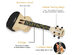 Populele U1: World's 1st Smart Concert Ukulele