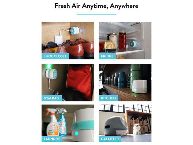 VentiFresh Plus: Next Generation Germ & Odor Eliminator (4-Pack)