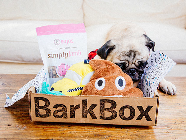 BarkBox Deal 1 Month Free with a Paid 12 month Subscription StackSocial