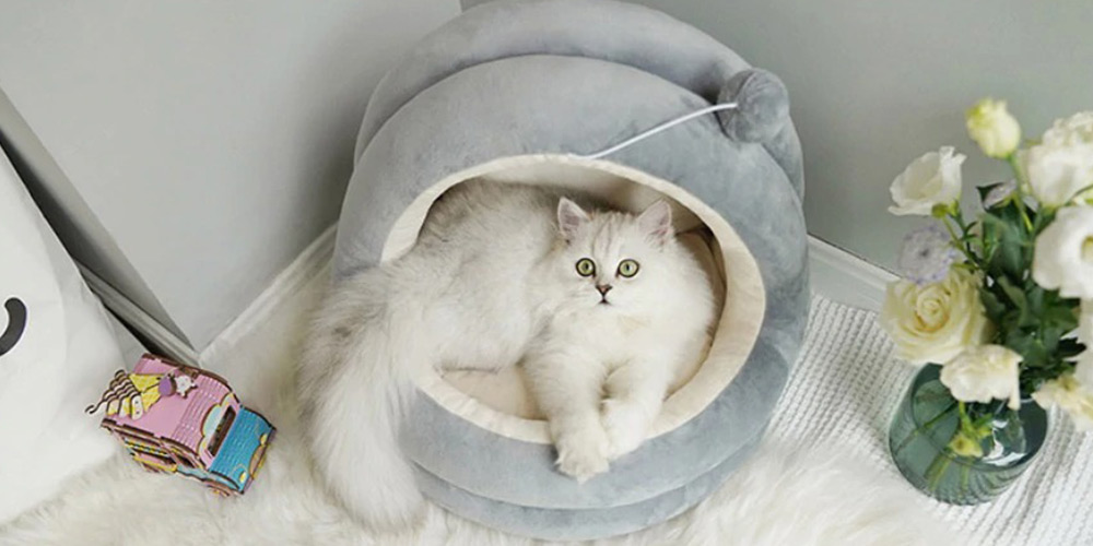 Get the Cute Cat House Bed for $27.19 with promo code CMSAVE20
